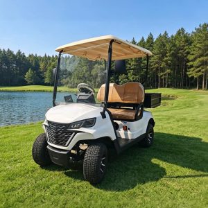 Voiturette de golf Eagle 2 places avec benne