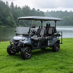 Voiturette surélevée 4-6 places Eagle