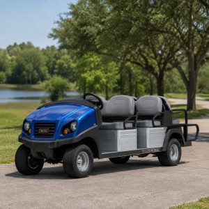 Voiturette Club Car Transporteur bleu dans un parc