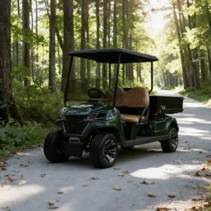 Voiturette de golf avec benne longue
