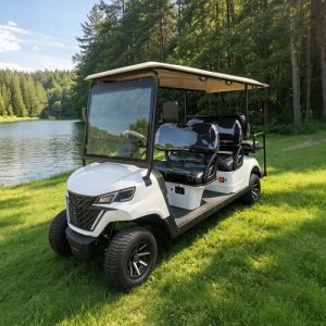 Voiturette de golf Eagle 4-6 places