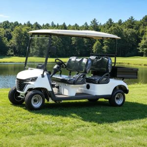 Golfette Eagle 4 places avec benne de profil