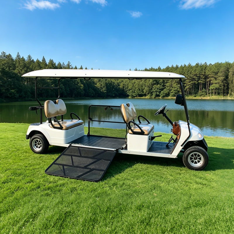 Vue latérale de la golfette PMR et de sa plateforme