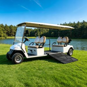 Voiturette de golf Eagle PMR