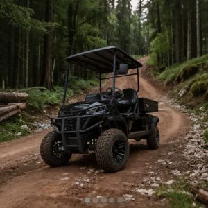 Voiturette surélevée avec benne longue noire en forêt