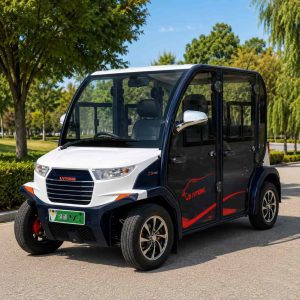 Voiturette électrique LV Tong 4 places dans un parc