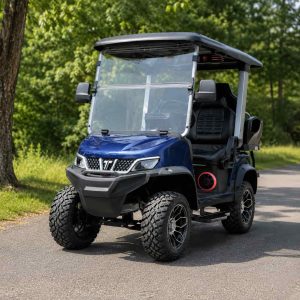Golfette bleue 4 places dans un parc