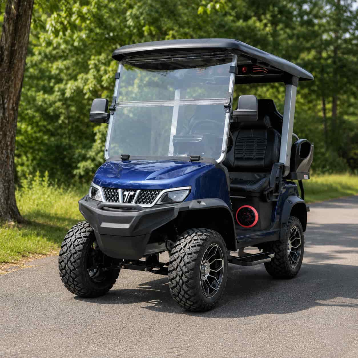 Golfette bleue 4 places dans un parc