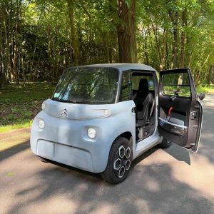 Citroen Ami grise dans le bois de Boulogne