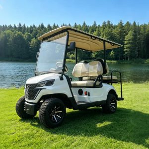 Golfette 2-4 places Eagle blanche