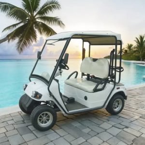 Golfette Eagle 2 places Homologuée Route