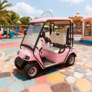 Voiturette de golf 2 places Route