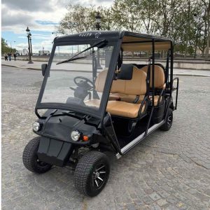 La golfette noire en plein paris