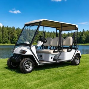 Golfette blanche Eagle 4 places dans un parc