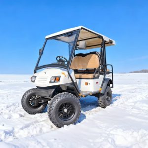 Eagle surélevée 2-4 places Route