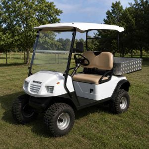 Golfette blanche surélevée dans un parc