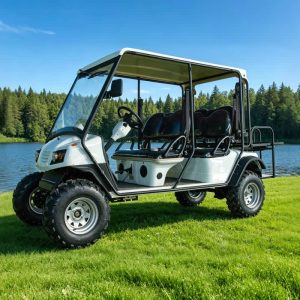 Voiturette surélevée Eagle 4-6 places