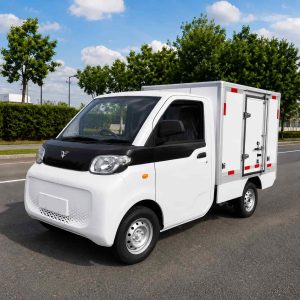 Camion électrique City Truck Van