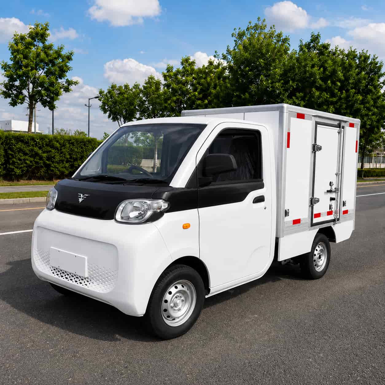 Camion électrique City Truck Van