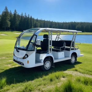 Minibus Eagle 11 places blanc